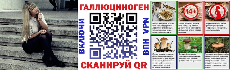 купить наркотик Палласовка Псилоцибиновые грибы Psilocybine cubensis